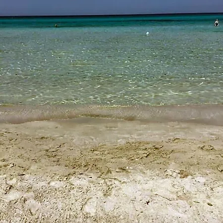Terra E Colori فندق